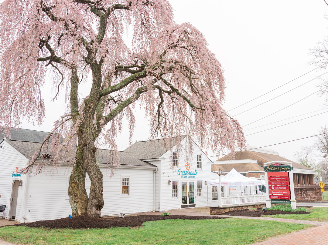 Grassroots Kitchen & Creamery