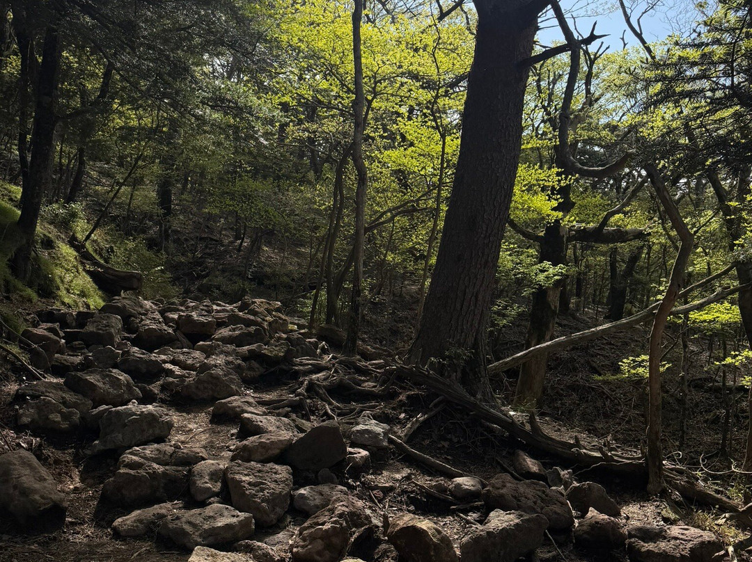 Onami Pond-雾岛市必去景点