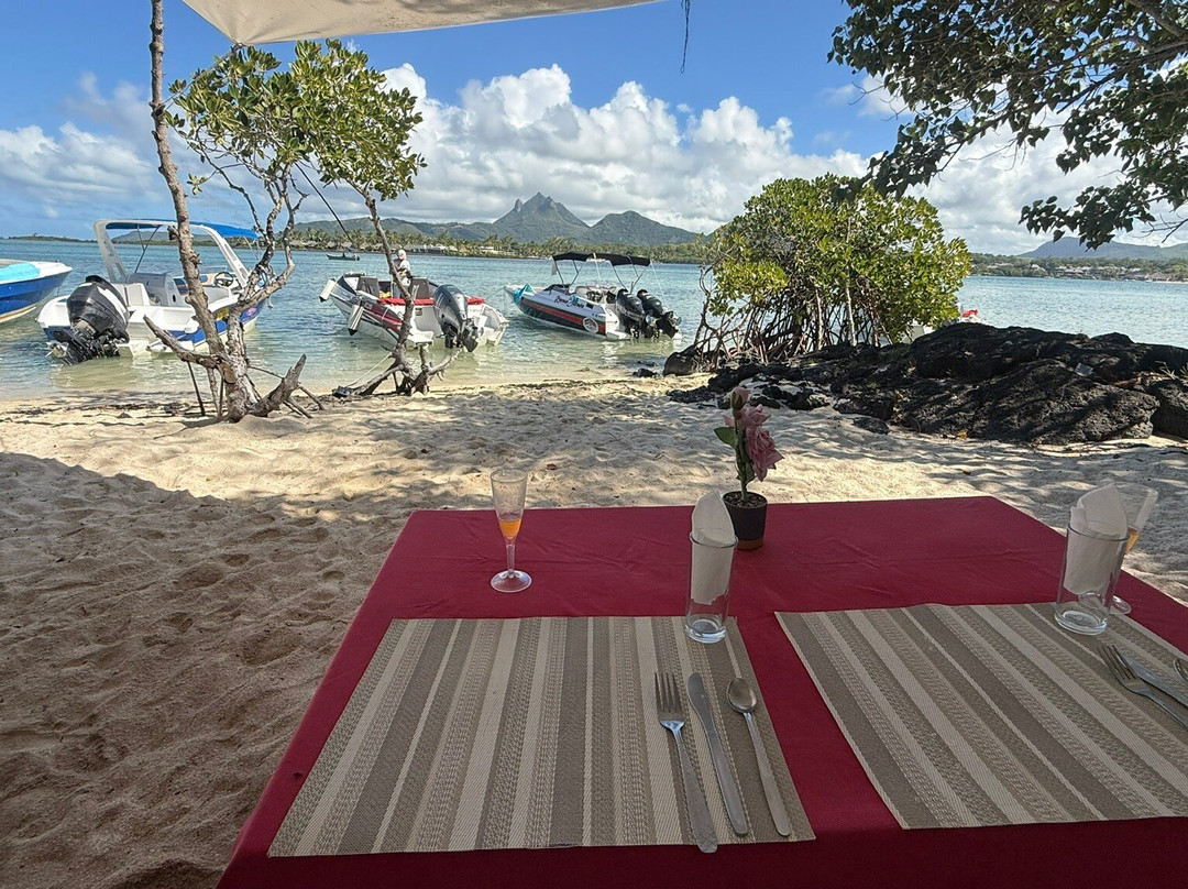 Calypso boat tours Mauritius-蓝湾必去景点