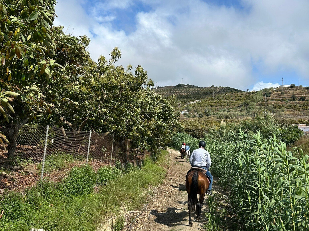 Andale Riding Nerja-内尔哈必去景点