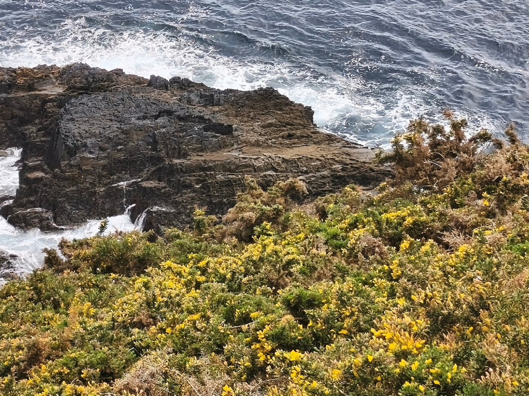 Punta de Fuciño do Porco-O Vicedo必去景点