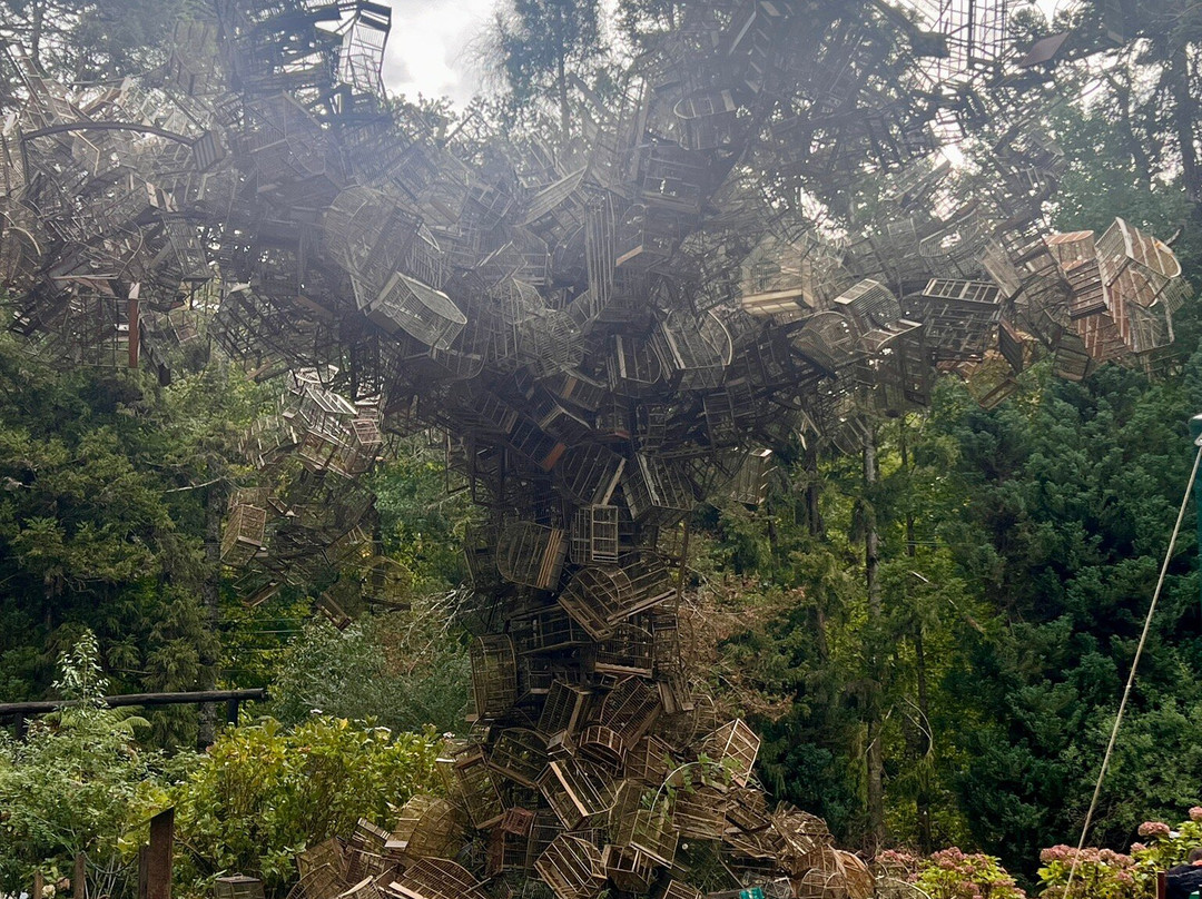 Parque Bambui-坎普斯－杜若尔当必去景点