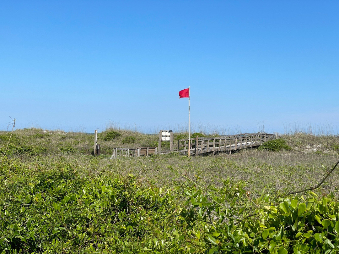 Myrtle Beach State Park-美特尔海滩必去景点