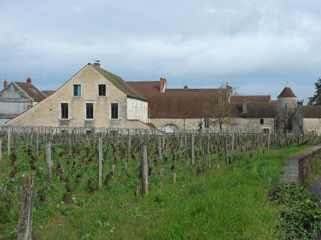 Domaine de la Romanee-Conti-Vosne-Romanee必去景点