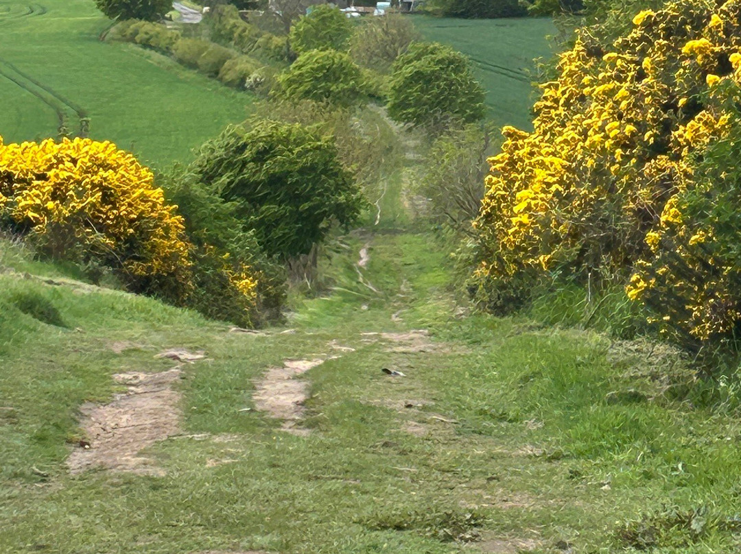 St Cuthbert's Cave-Belford必去景点