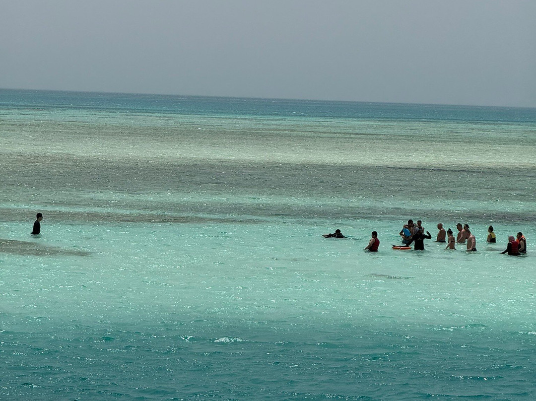 Pyramids Diving Center-沙姆沙伊赫必去景点