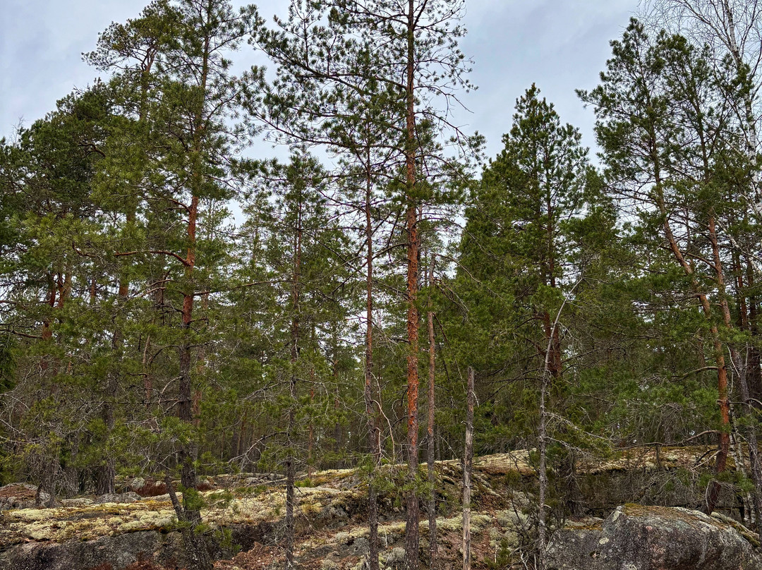 Nuuksio National Park-埃斯波必去景点