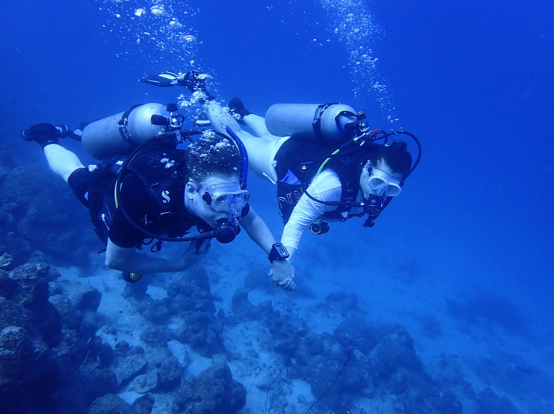 JADS Dive Center-San Nicolas必去景点
