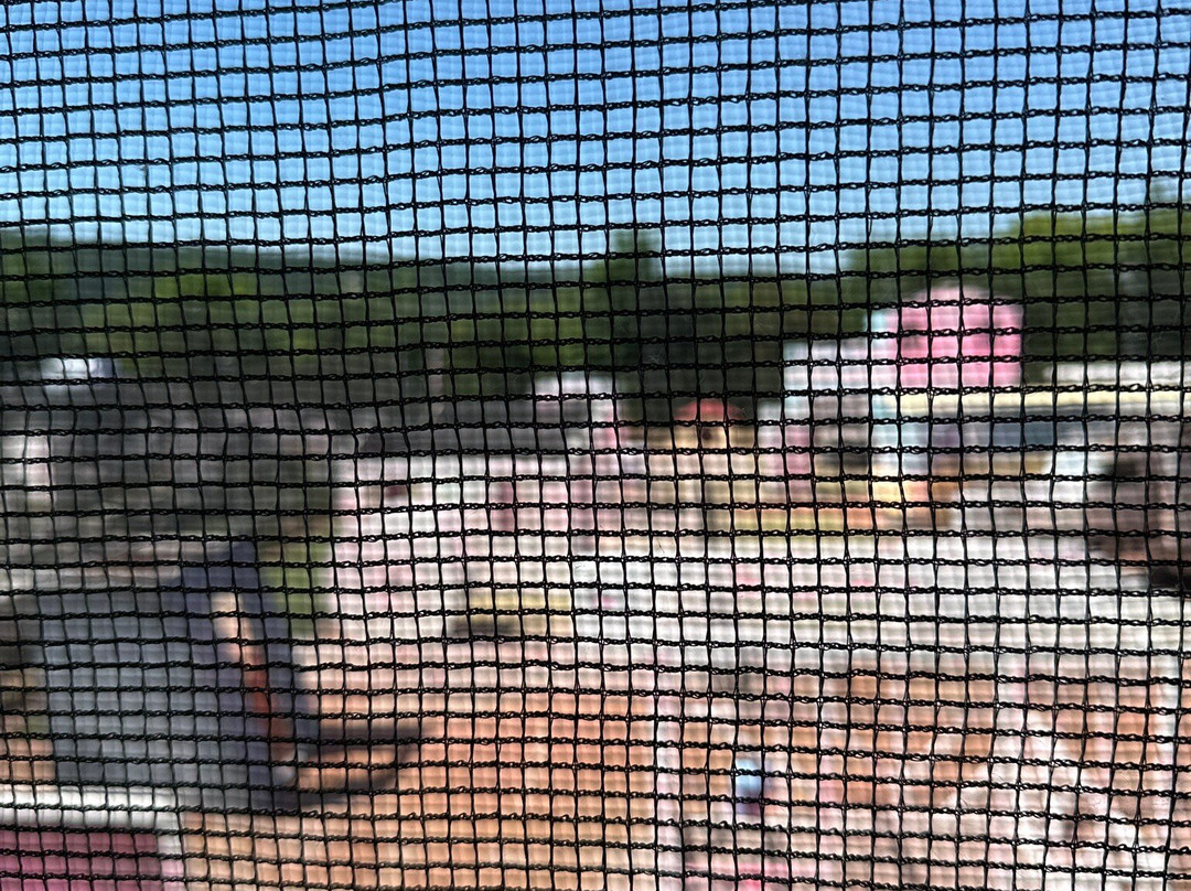 Paintball-Prague.cz-布拉格必去景点