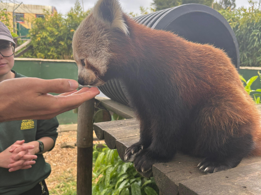Shepreth Wildlife Park-Shepreth必去景点