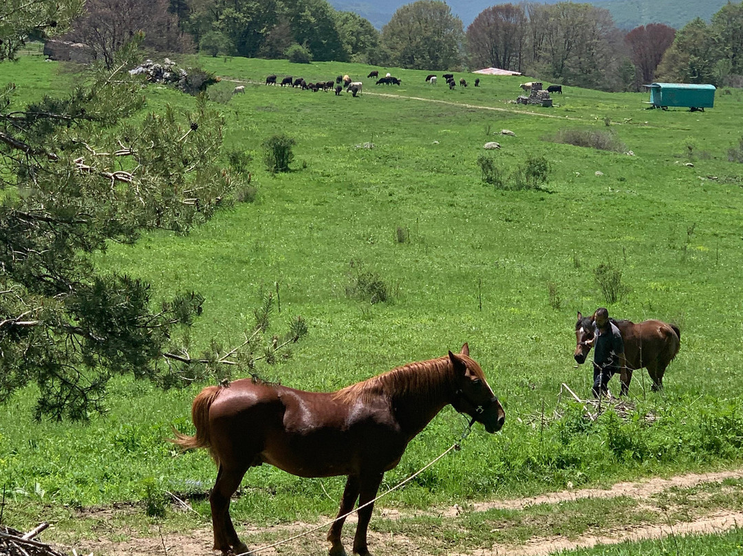 Horseriding Bulgaria - Day Tours-索非亚必去景点
