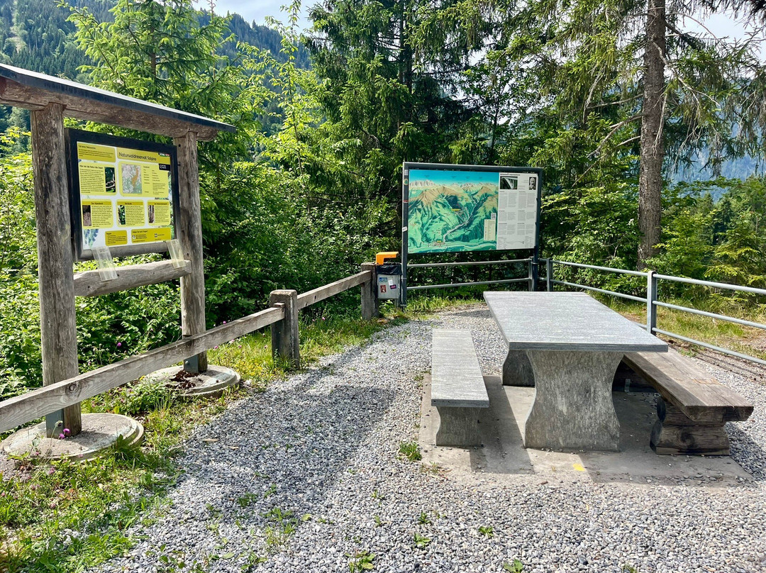 Weltmonument Salginatobelbrücke-Schiers必去景点