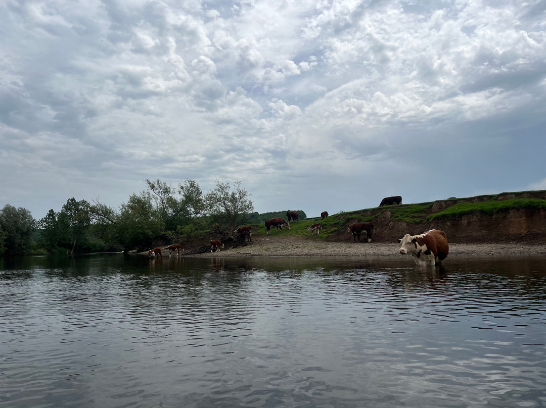 Hereford Canoe Hire-赫里福德必去景点
