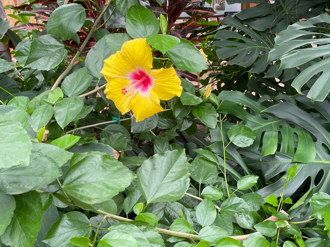 Plantropica-Luttelgeest必去景点