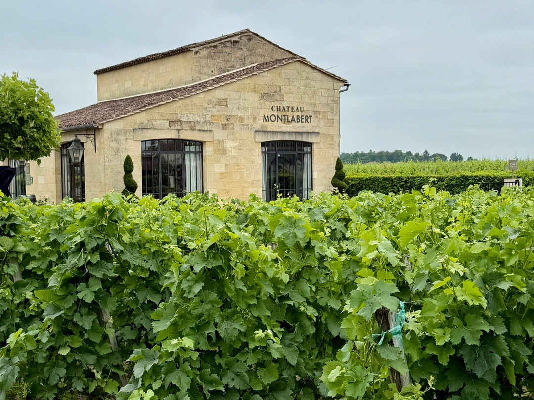 Château Montlabert-圣埃美隆必去景点