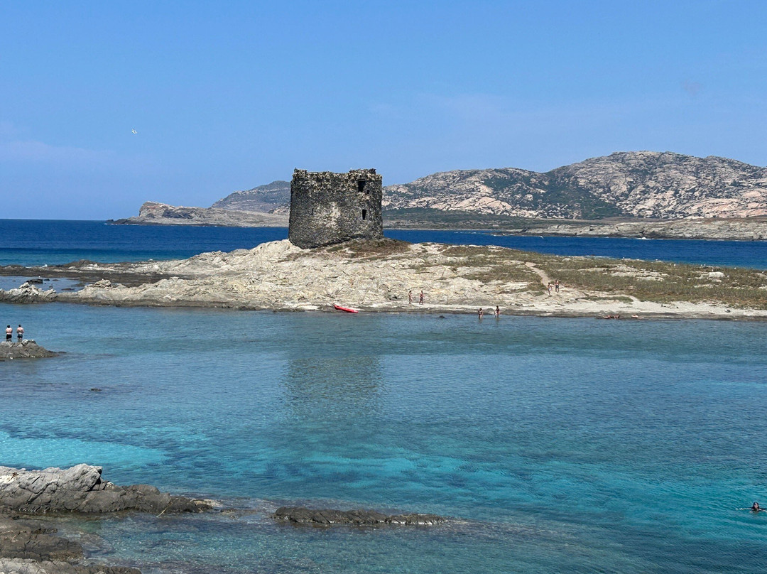 Spiaggia della Pelosetta-斯廷蒂诺必去景点