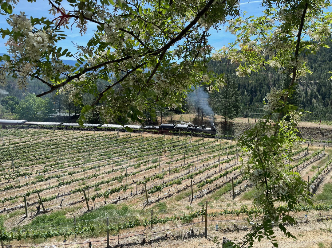Dirty Laundry Vineyard