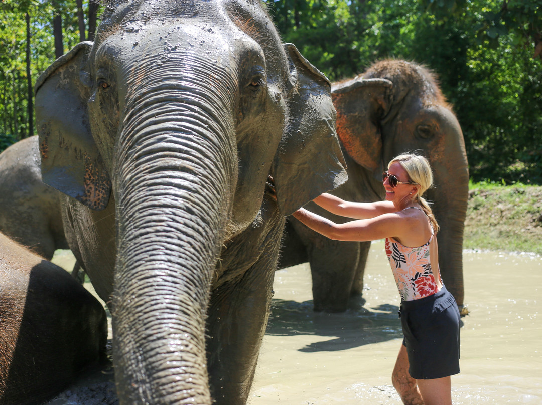 Maerim Elephant Sanctuary-夜林必去景点