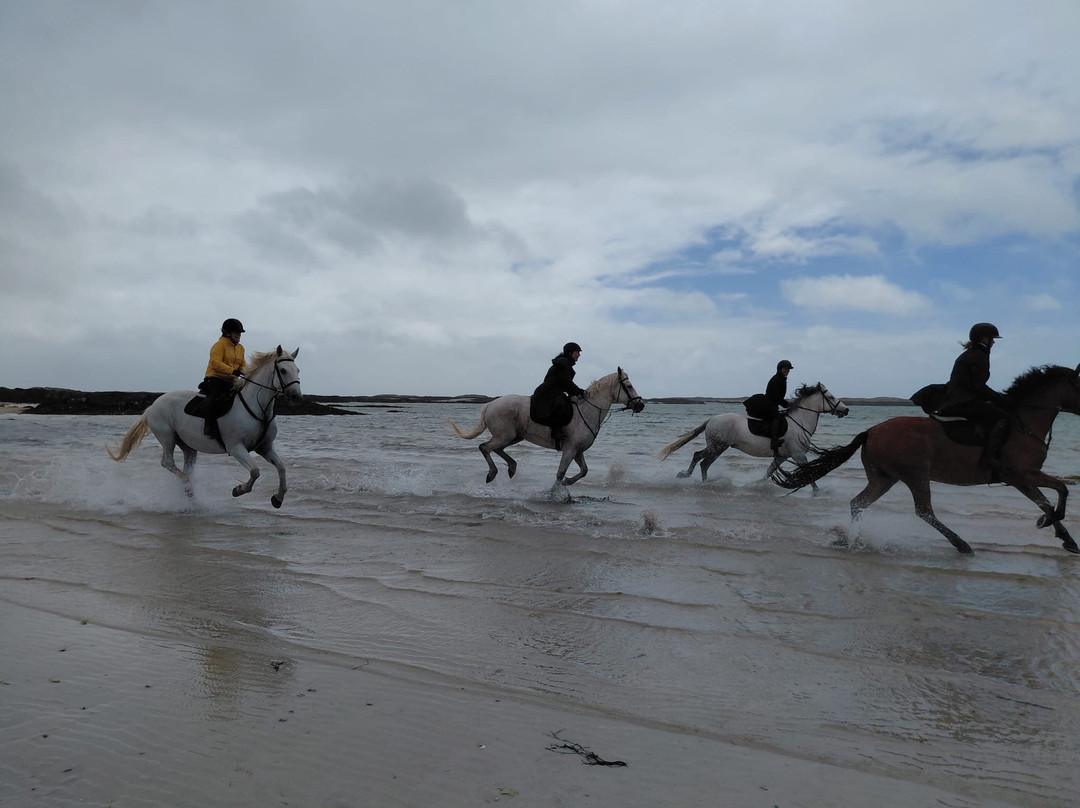 Connemara Equestrian Escapes