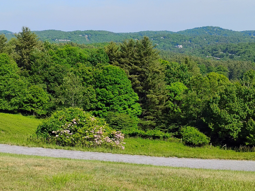 Moses H. Cone Memorial Park-布洛英罗克必去景点