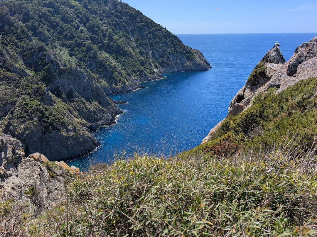 Info Park Arcipelago Toscano-Magazzini必去景点