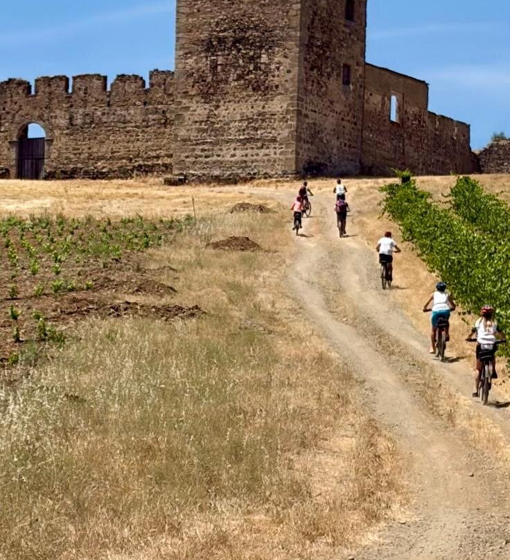 Portugal Best Cycling-埃武拉必去景点