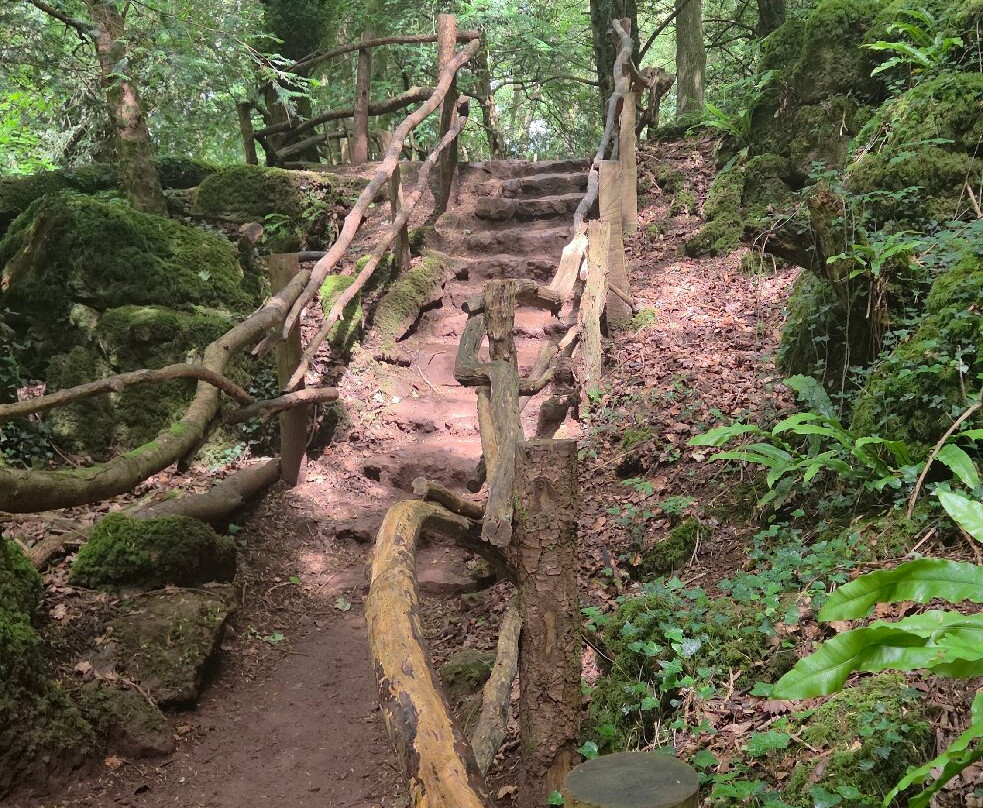 Puzzlewood-Coleford必去景点