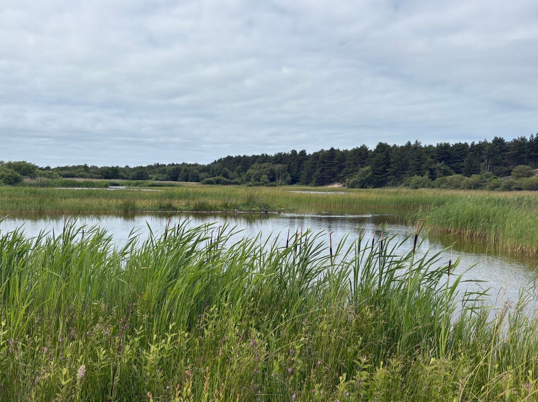 Parc du Marquenterre-Saint-Quentin-en-Tourmont必去景点
