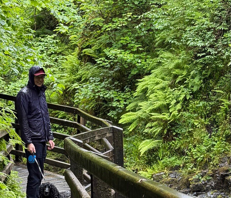 Glenariff Forest Park-County Antrim必去景点
