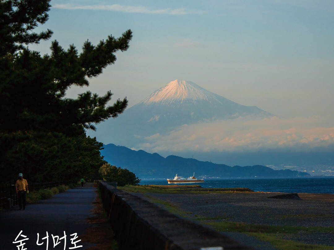 三保海岸（三保之松原海滩）-静冈市必去景点