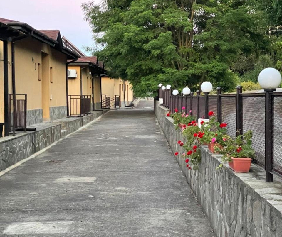 Complex Terazini