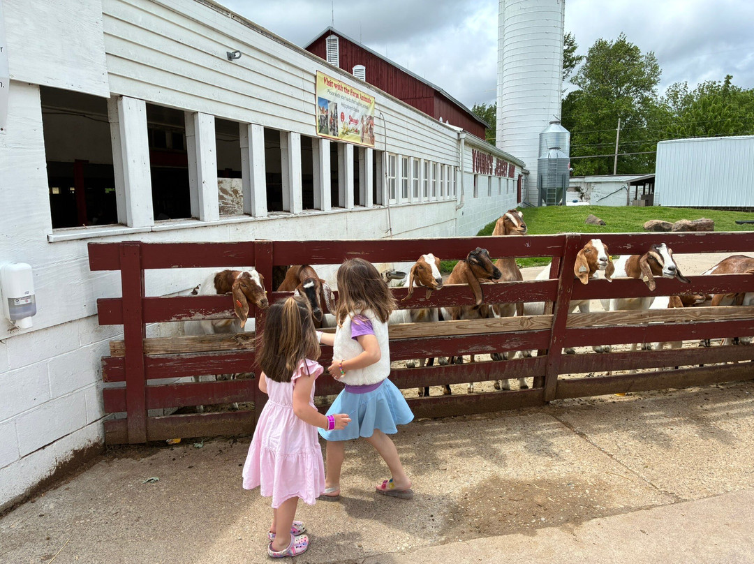 Young's Jersey Dairy Farm-Yellow Springs必去景点