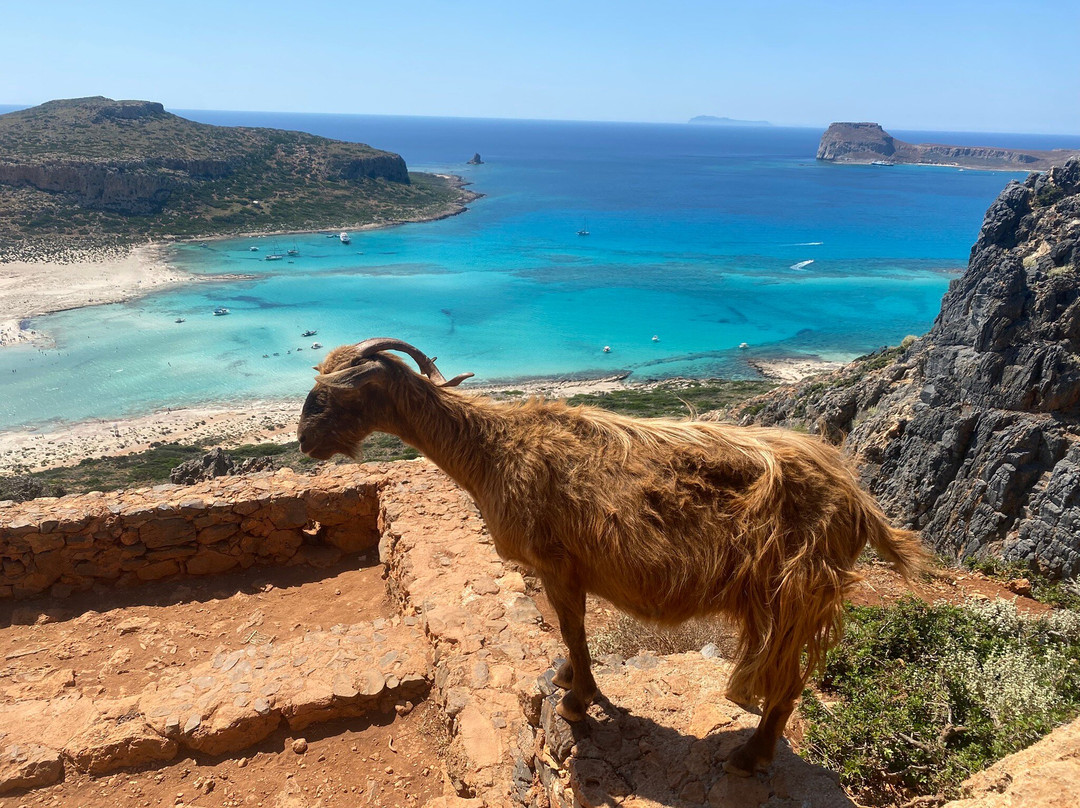 Iberostar Selection Creta Marine主图