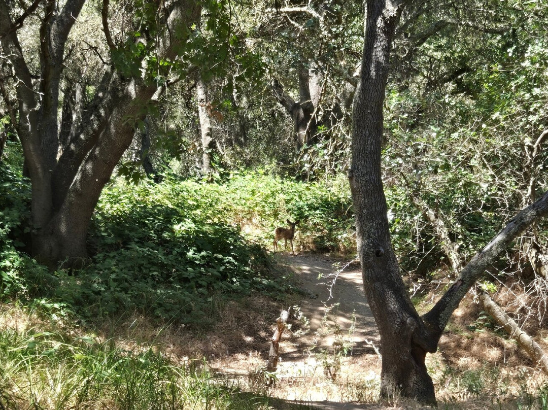 Effie Yeaw Nature Center-Carmichael必去景点