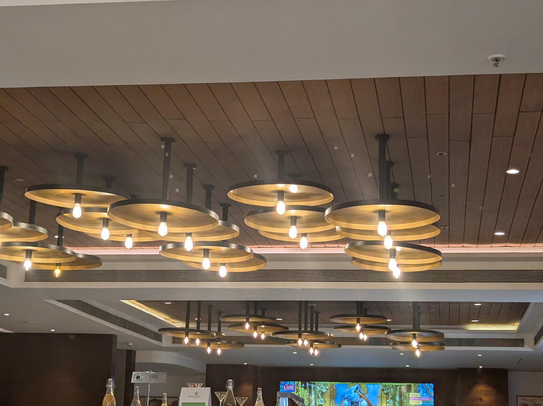 Lemon Tree Premier Dwarka（飞燕树酒店·德瓦卡分店）主图