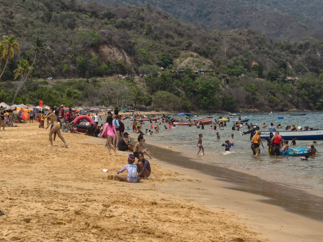 Playa Arapito-Mochima必去景点