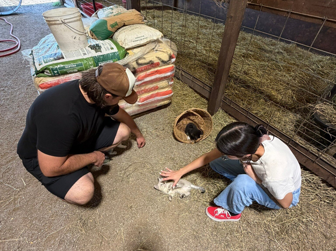 Cress Creeks Farm And Corn Maze-Ellijay必去景点