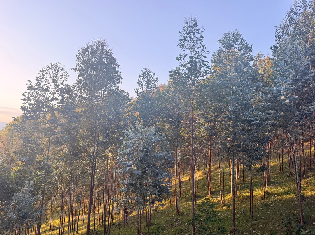 Around Kibuye Tour Activities-Kibuye必去景点