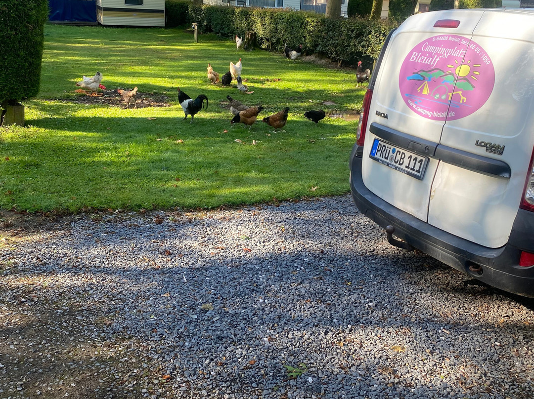 Camping Bleialf