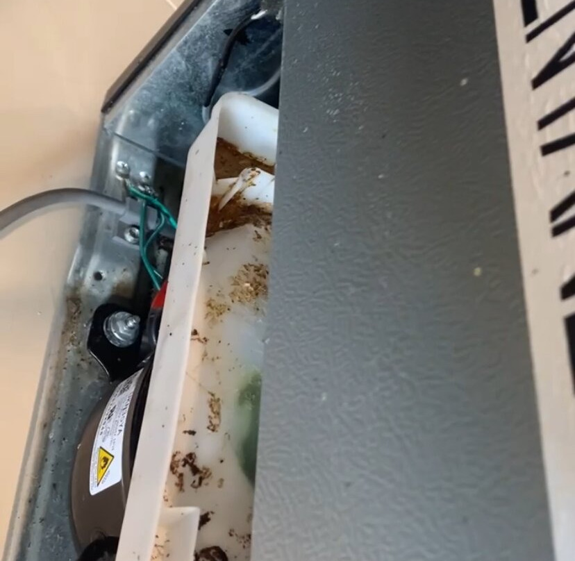罗德威酒店圣克莱门特主图