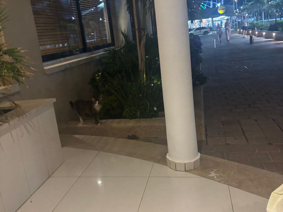 破晓绿洲酒店及水上公园主图