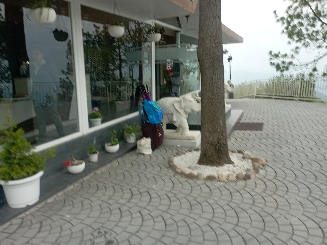 里根塔山顶酒店，西姆拉主图