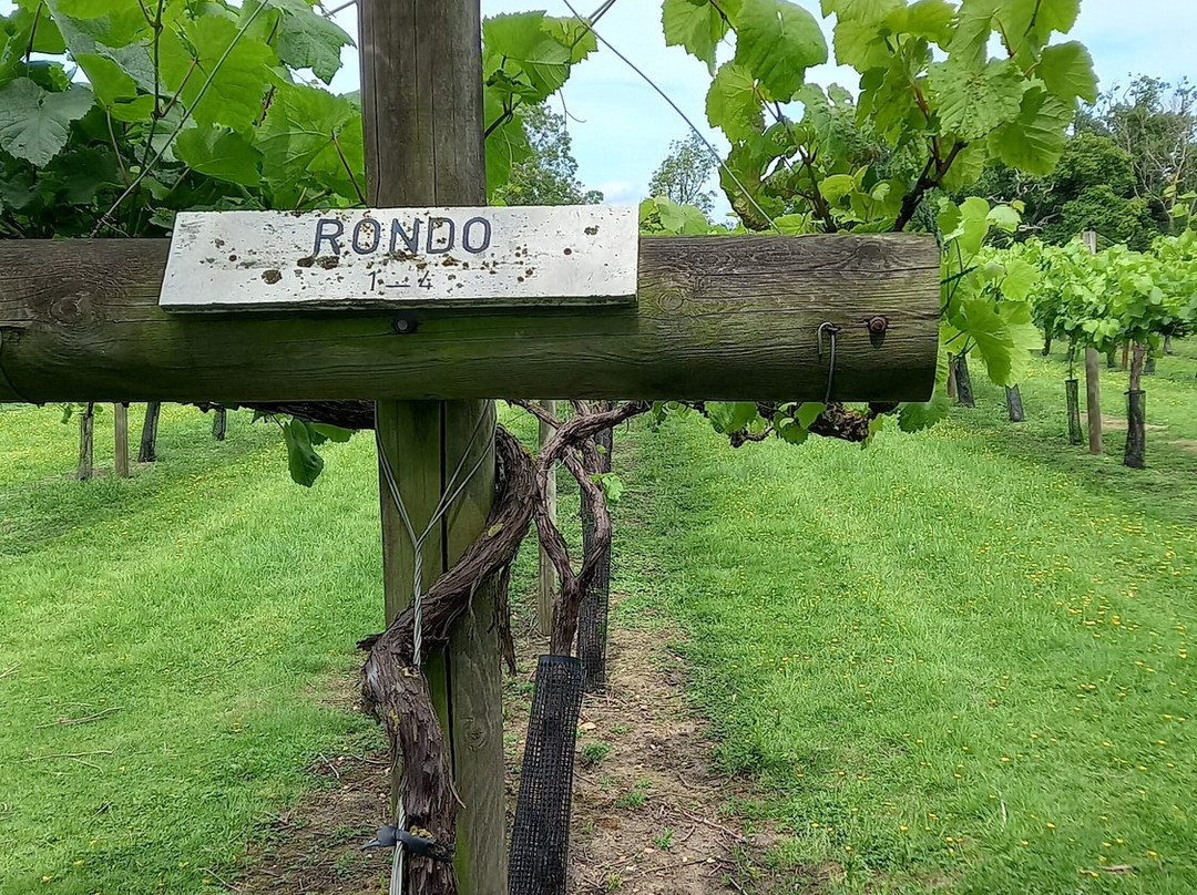 Shawsgate Vineyard-Framlingham必去景点