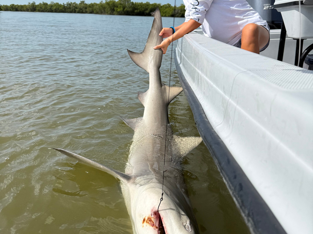 Shark Chaser Charters-Goodland必去景点