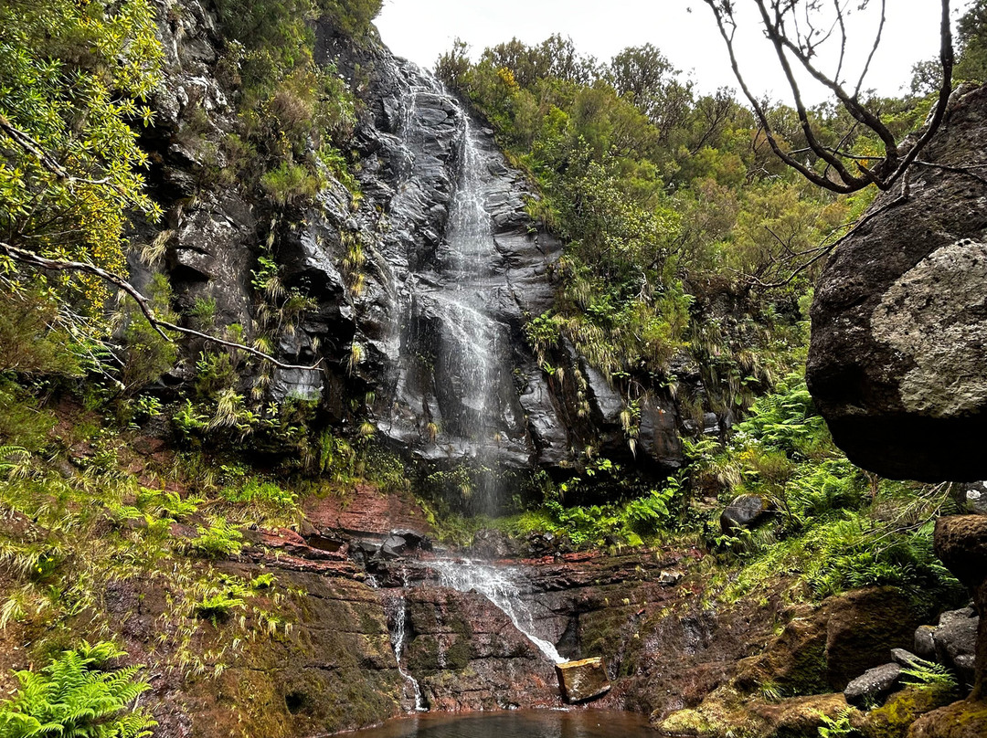 Madeira Wonder Hikes-沙尔必去景点