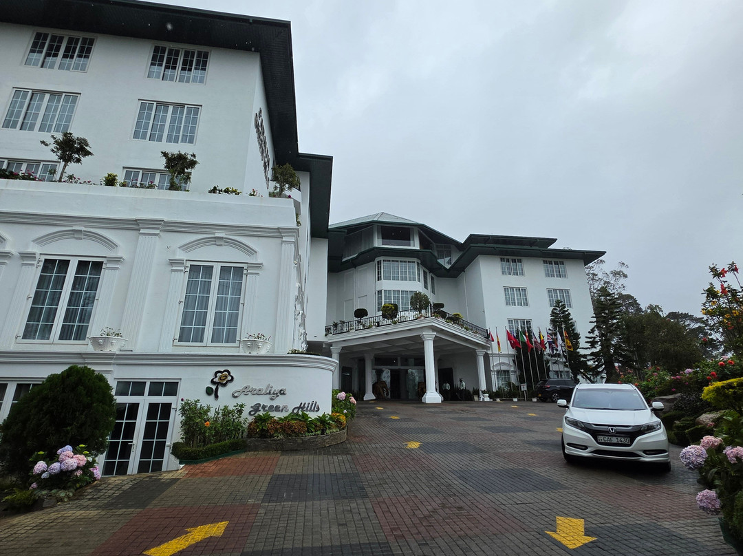 阿拉利亚绿野仙居酒店主图