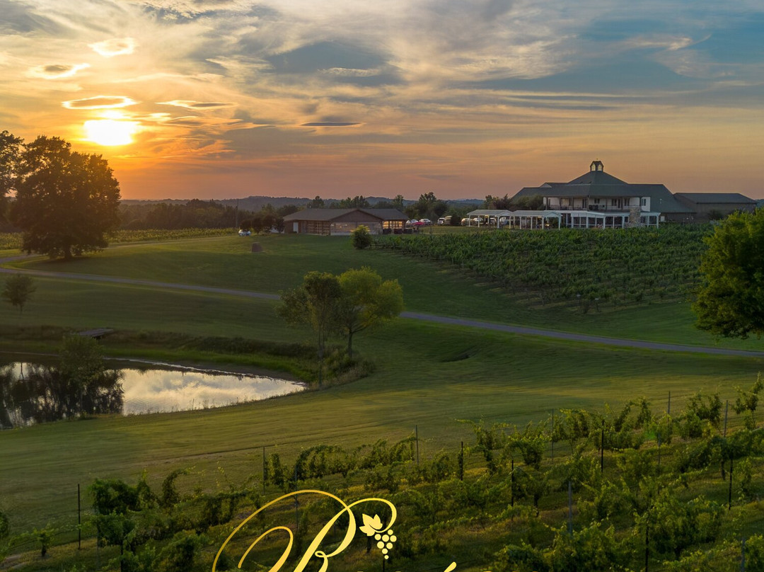 Rayson Winery and Vineyards-Mocksville必去景点
