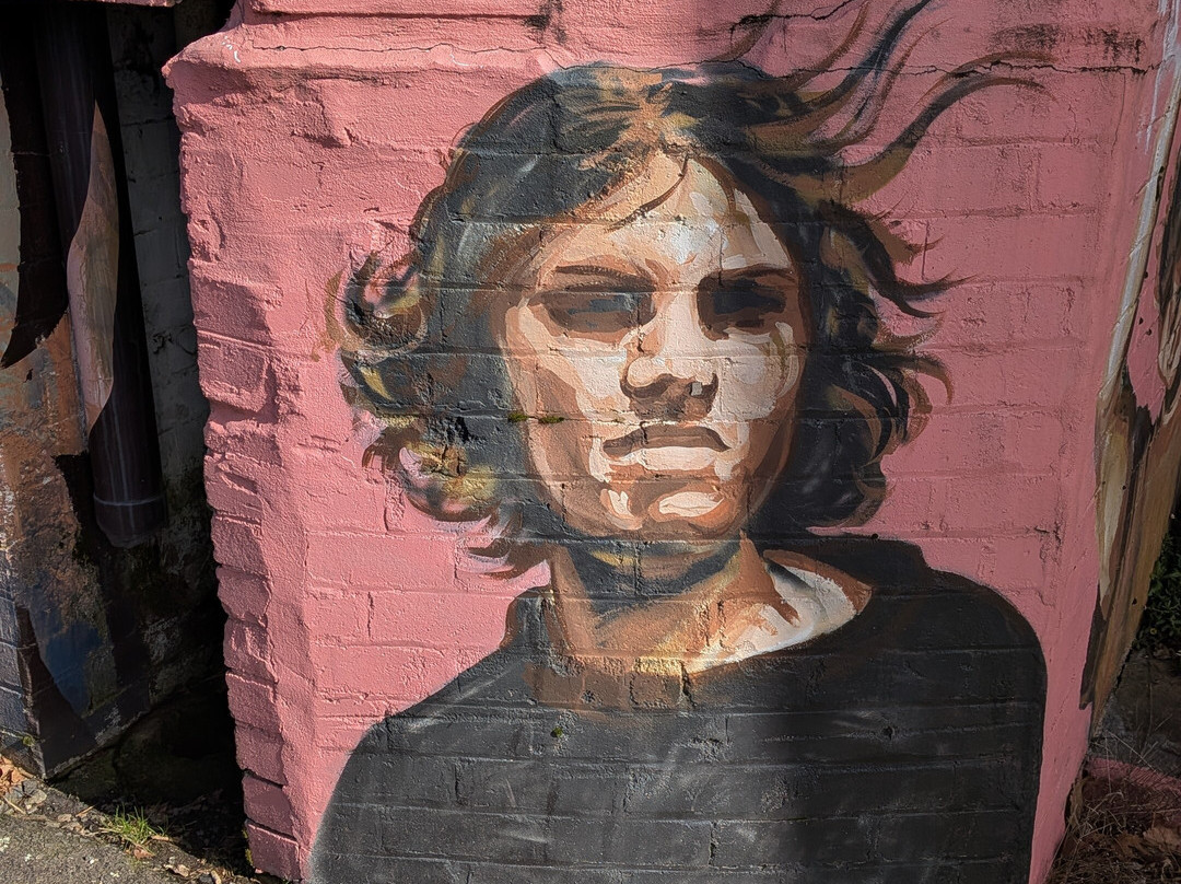 Street Art Walk - by Street Art Murals Australia-卡通巴必去景点