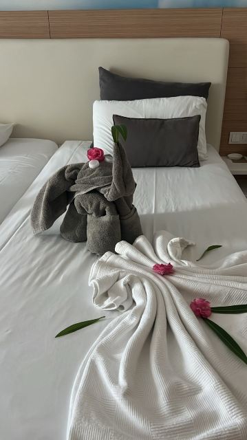 宁静皇后酒店-旅行者