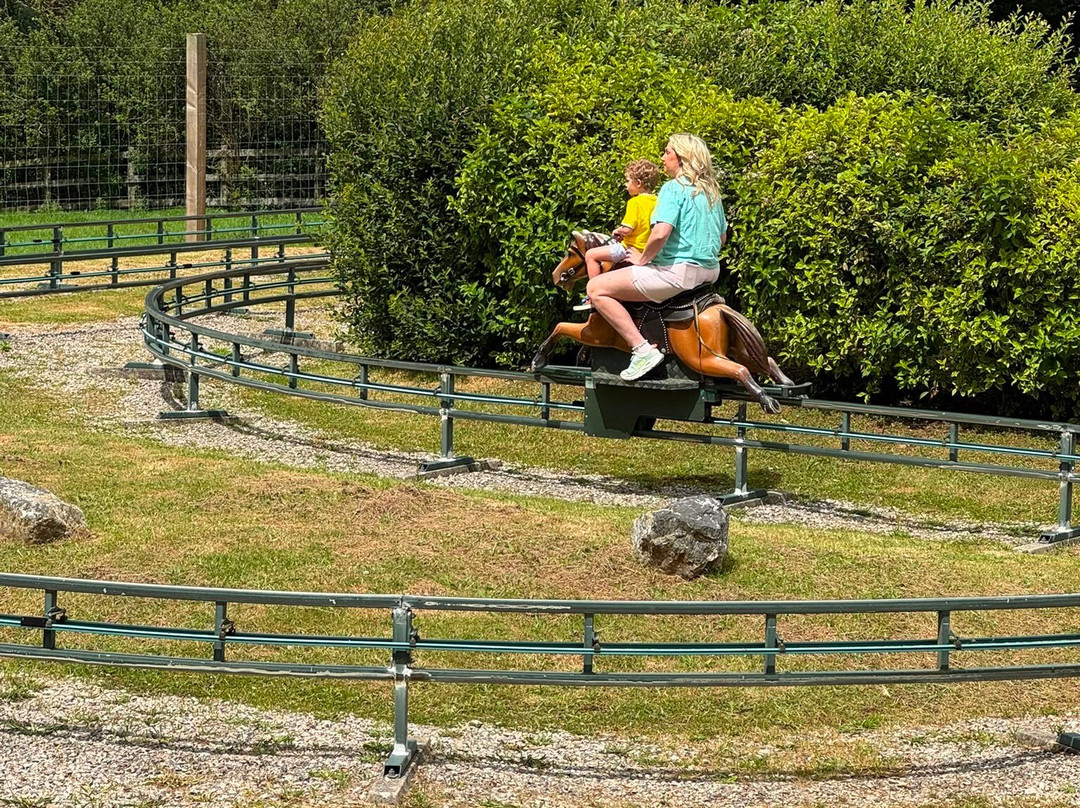 Camel Creek Family Adventure Park-Wadebridge必去景点